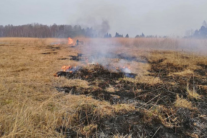 Kaņiera ezera salu atkrūmošan}
