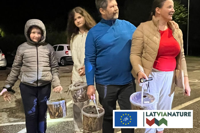 Invazīvās Spānijas kailgliemeža ierobežošana Saulkrastos}