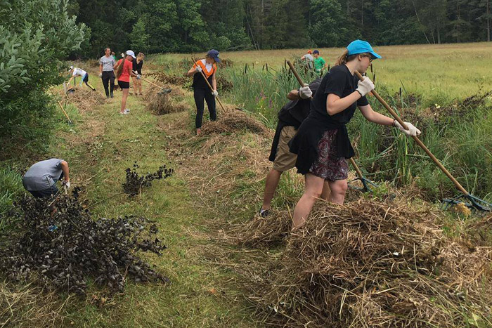 Siena un krūmu novākšana pļavās Ķemeru Nacionālajā parkā}