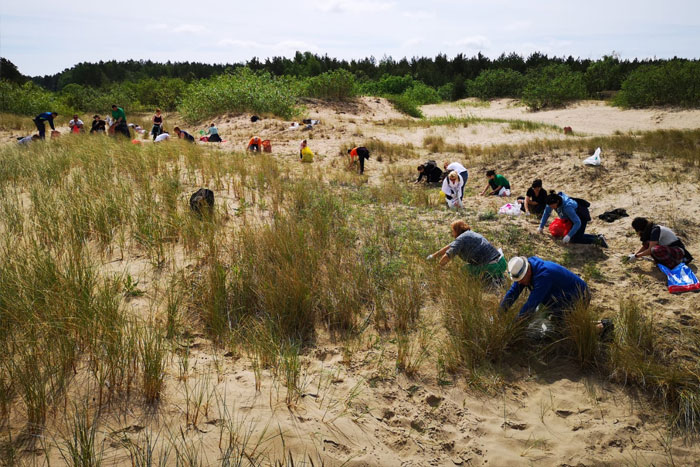 Dabas parku “Piejūra” atbrīvo no invazīvā Tatārijas salāta}