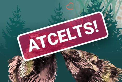 Satiec zvērus tumsā Līgatnes takās