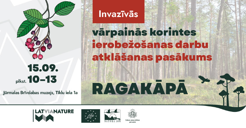 Vārpainās korintes ierobežošanas talka