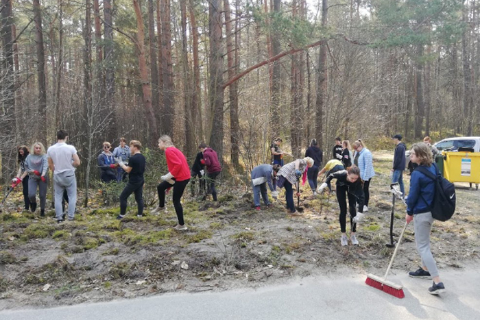 Krokainās rozes ravēšana Jaunķemeros}