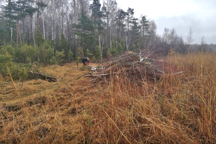 Kaņiera ezers, zāļu purvs}