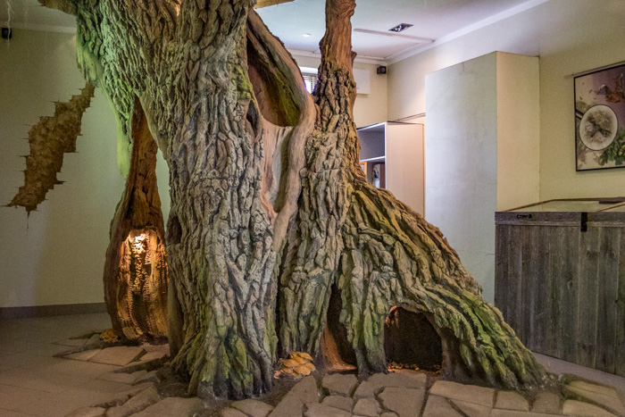 Slitere National Park nature center