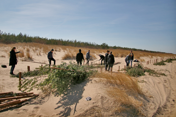 Kāpu stiprināšana DP “Piejūra”}