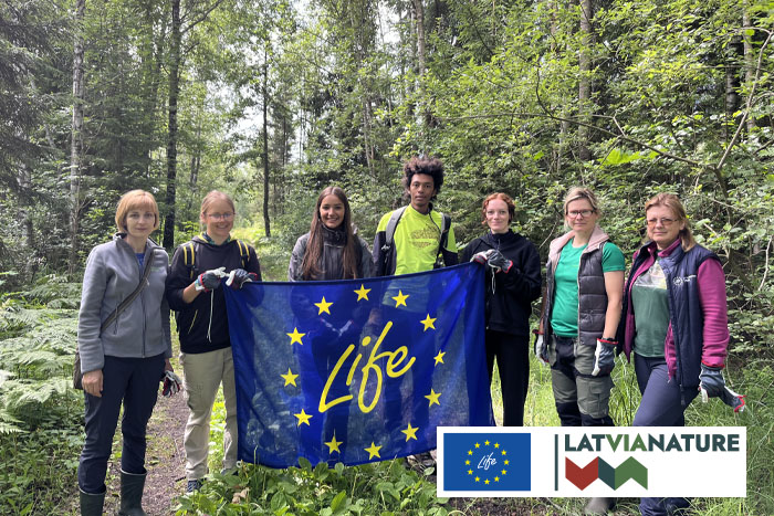 Kanādas zeltslotiņas talka Ķemeru Nacionālajā parkā}