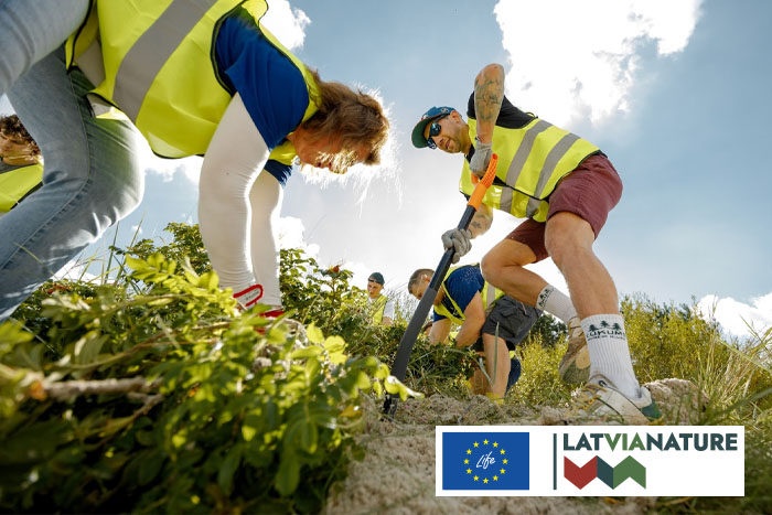 Invazīvās krokainās rozes ierobežošana Jaunķemeros}