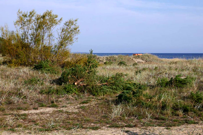 Gausā jūdze}