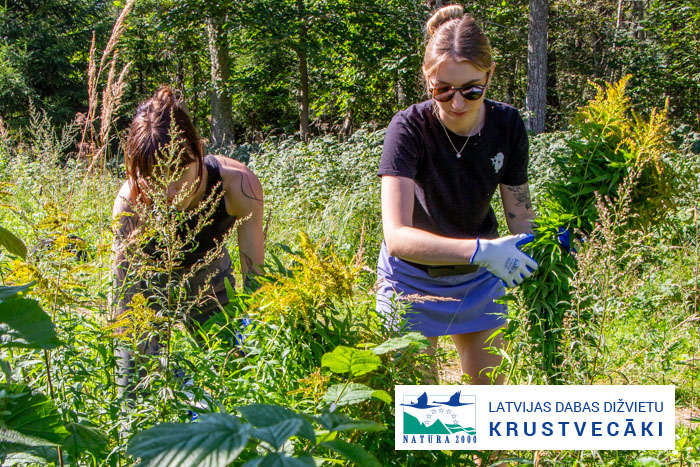 Zvārtes ieža apkārtnes sakopšana}