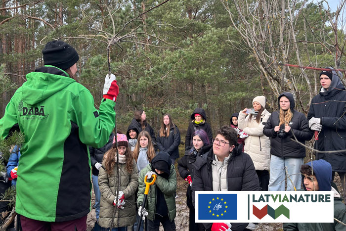 Invazīvās krokainās rozes apkarošana}