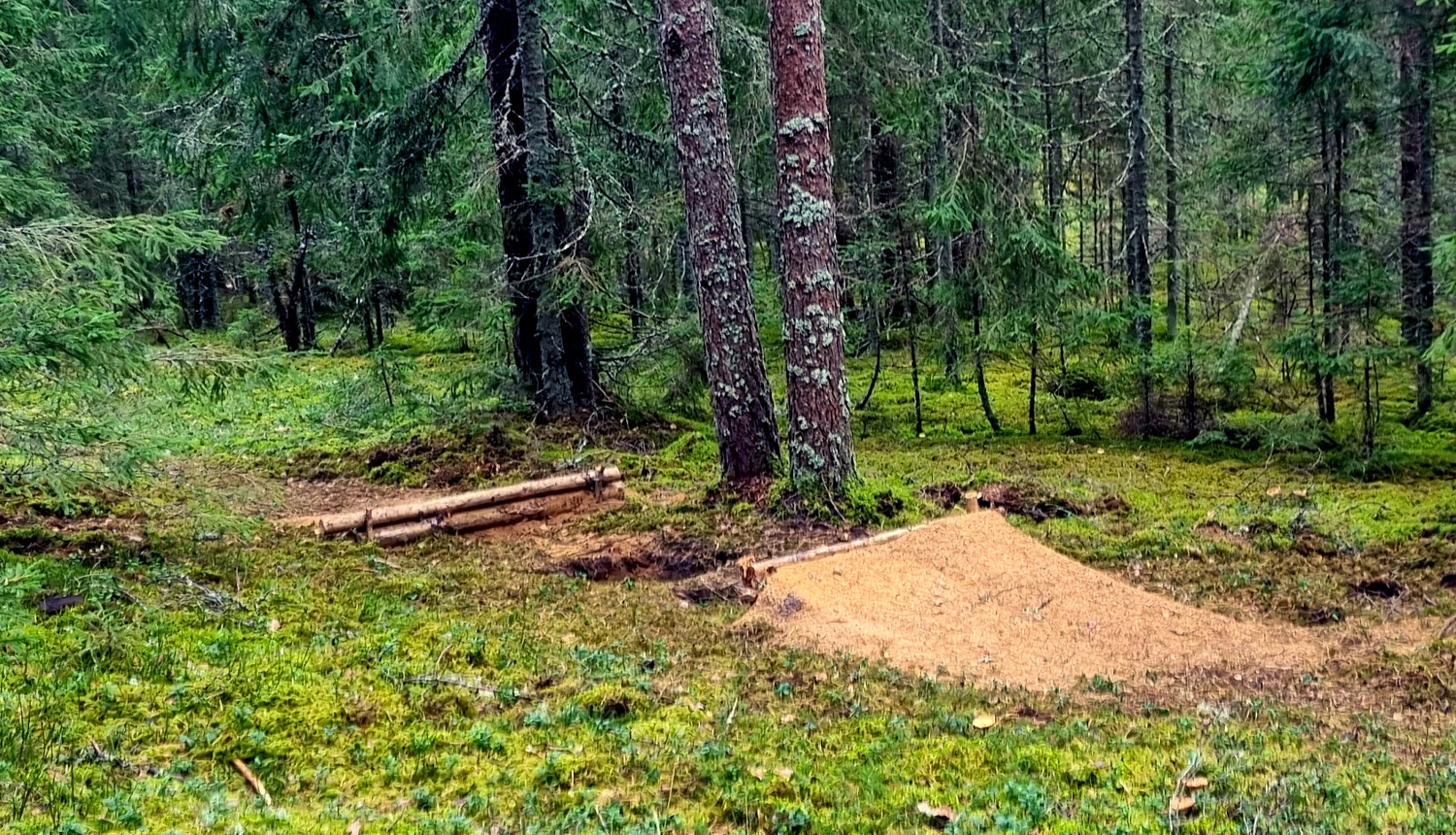 Nelikumīgi izbūvēta kalnu nobraucienu trase Gaujas Nacionālajā parkā