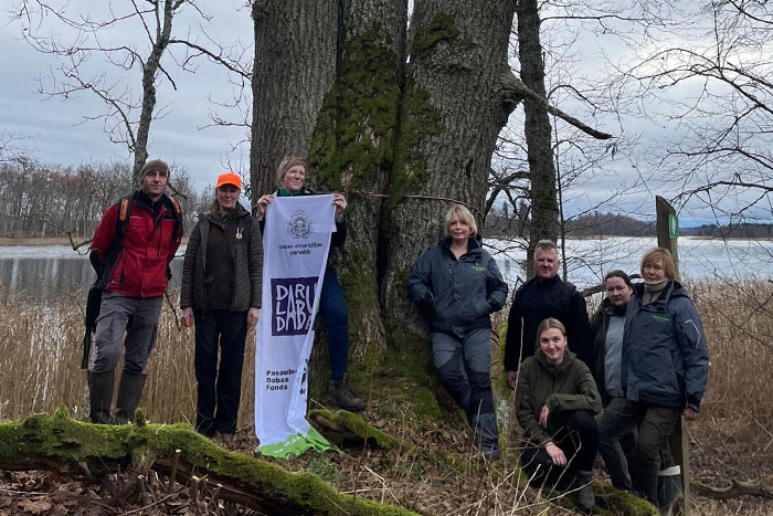 Dāvana Latvijai - atēnots ozols}