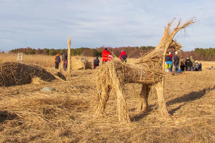 Randu pļavas, niedru festivāls}