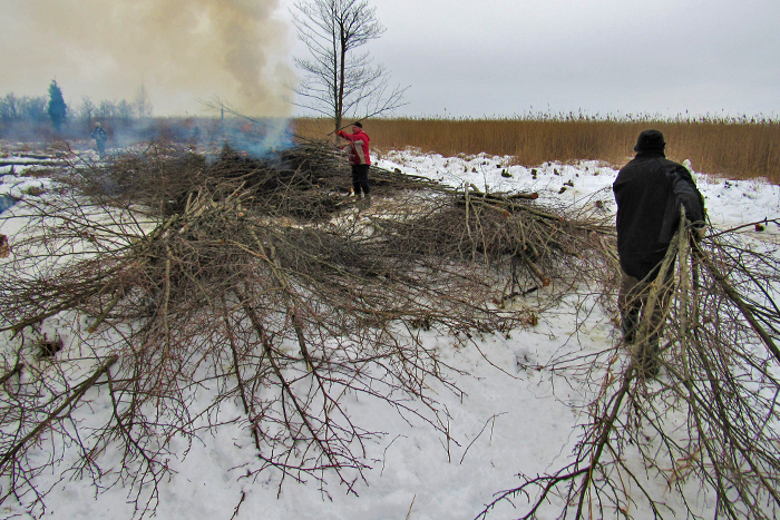 Kaņiera ezera kadiķu audzes}