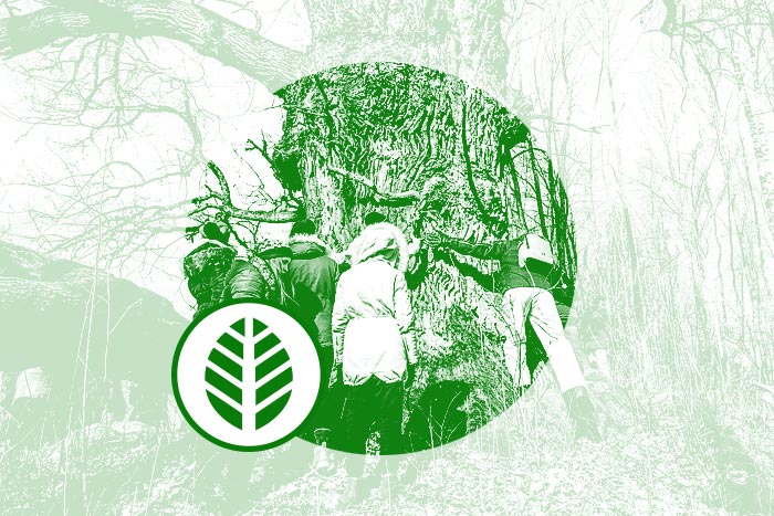 Dižkoku atbrīvošana Irbes krastos}