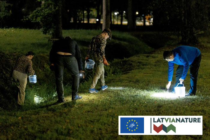 Invazīvās Spānijas kailgliemeža ierobežošana Siguldā}