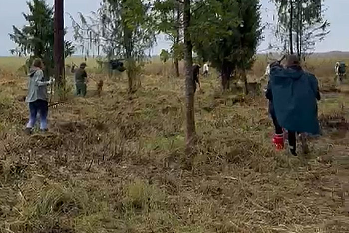 Kaņiera pilskalna zemo zāļu purvu kopšana}