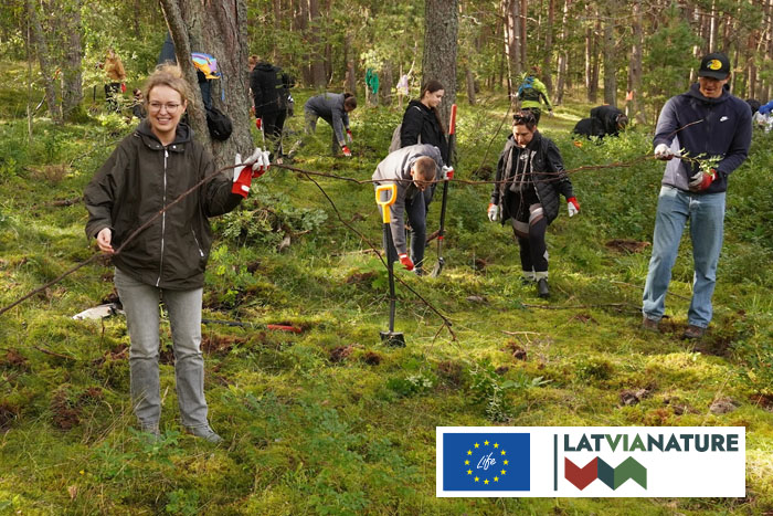 Invazīvās krokainās rozes ierobežošana}