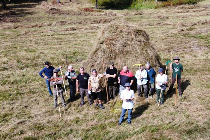 Siena vākšana Grīņu dabas rezervātā}