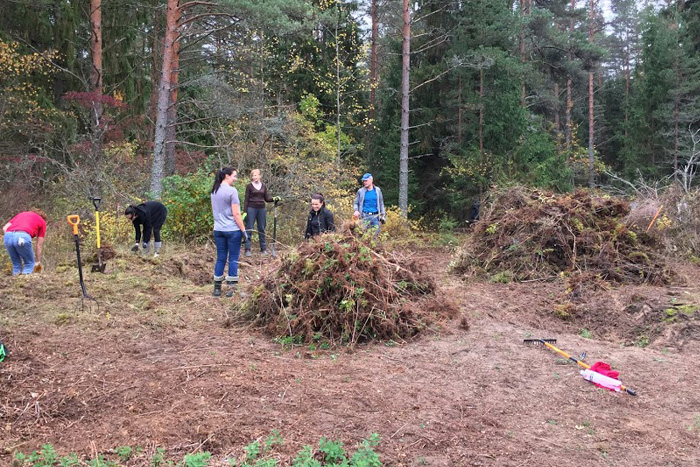 Lielā Ķemeru tīreļa apkārtnes pļavas un meži}
