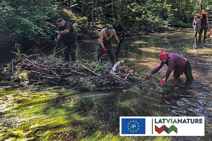Straujteces atbrīvošana Narūtā}