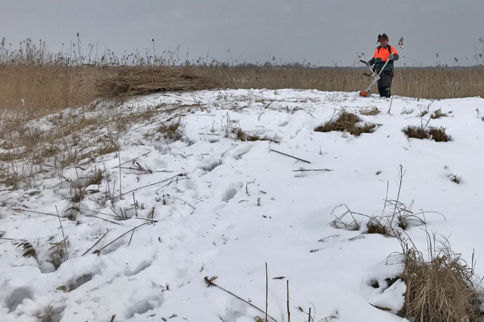 Lubāna mitrājs, Īdeņas dīķi}