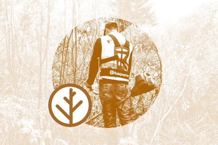 Pelēkās kāpas biotopa kopšanas talka}