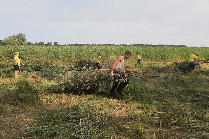 Dabisko pļavu uzturēšana Vecdaugavā}