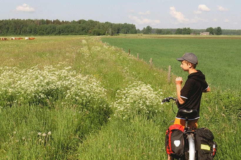 Velo tūrists pie lopu aploka