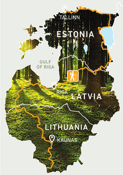 Лесная тропа