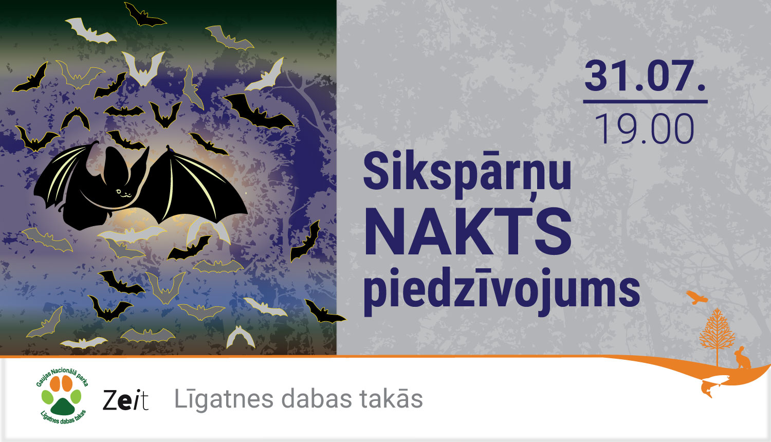 Sikspārņu silueti uz tumša fona. Sikspārņu nakts piedzīvojums. 31.07. plkst 19.00
