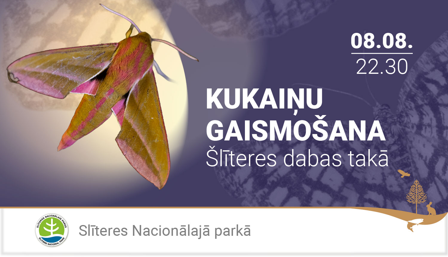 Naktaurenis dzelteni rozā krāsās
