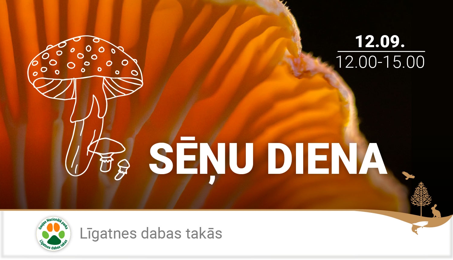 Gaile tuvplānā. Virsū mušmires baltas kontūrlīnijas zīmējums. Uzraksts SĒŅU DIENA Līgatnes dbas takās. 12.09 plkst 12.00-15.00
