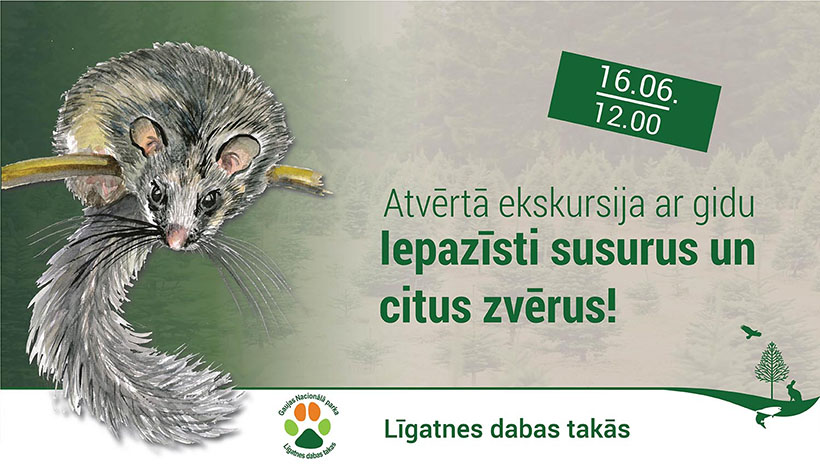 Lielais susurs