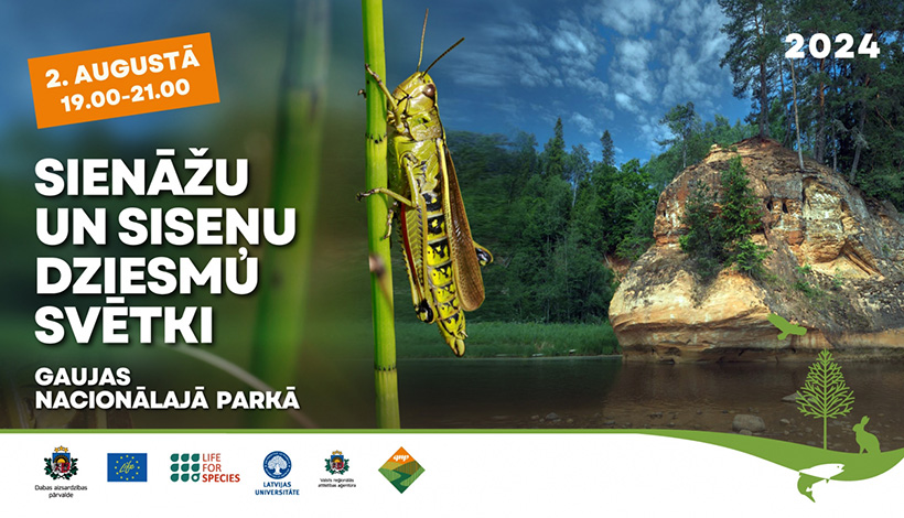 Sienāžu pasākuma afiša