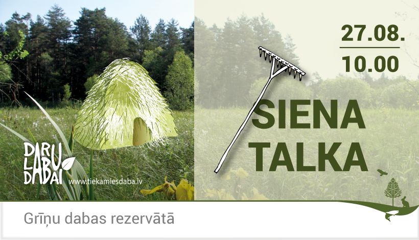 Pļava ar siena zārdu