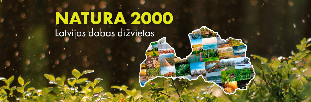 Dižvietu foto konkursa baneris - attēlu kolāža