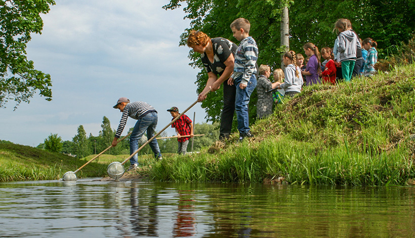 Bērni ar metāla sietiņiem smalsta ūdensaugus un ēdensdzīvniekus strautā.