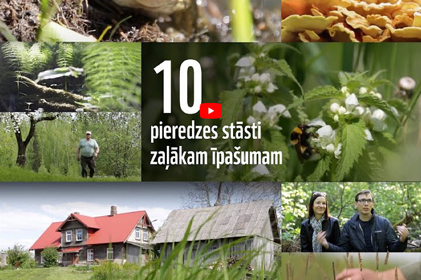 Video klipu attēlu kolāža